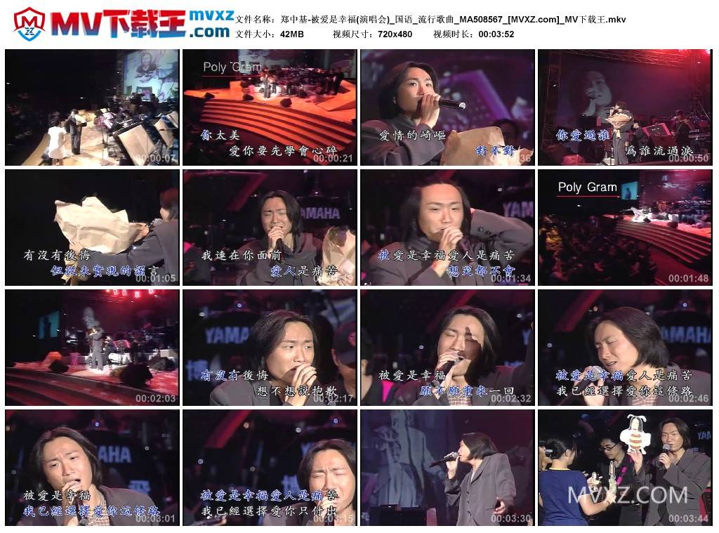 郑中基-被爱是幸福(演唱会)_国语_流行歌曲_MA508567
